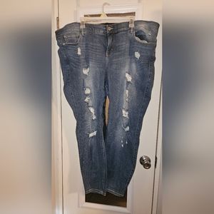Torrid Jeans